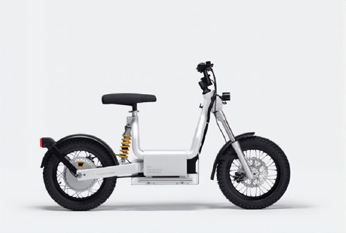 電動車電機(jī)功率400W、800W、1200W有什么區(qū)別及如何選擇